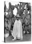 Boy in Front of a Cactus, State of Veracruz, Mexico, 1927-Tina Modotti-Stretched Canvas