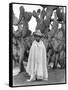 Boy in Front of a Cactus, State of Veracruz, Mexico, 1927-Tina Modotti-Framed Stretched Canvas