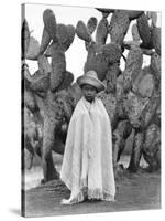 Boy in Front of a Cactus, State of Veracruz, Mexico, 1927-Tina Modotti-Stretched Canvas