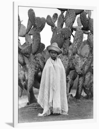 Boy in Front of a Cactus, State of Veracruz, Mexico, 1927-Tina Modotti-Framed Photographic Print