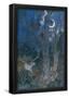 Essential Black