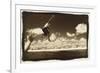 Boy Jumping off boat, Australia-Theo Westenberger-Framed Premium Giclee Print