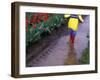 Boy Jumping through Mud Puddles along Tulip Fields, Willamette Valley, Oregon, USA-Janis Miglavs-Framed Photographic Print