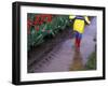 Boy Jumping through Mud Puddles along Tulip Fields, Willamette Valley, Oregon, USA-Janis Miglavs-Framed Photographic Print