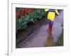 Boy Jumping through Mud Puddles along Tulip Fields, Willamette Valley, Oregon, USA-Janis Miglavs-Framed Photographic Print