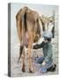 Boy Milking Cow-Nora Hernandez-Stretched Canvas