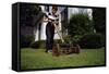 Boy Mowing Lawn-William P. Gottlieb-Framed Stretched Canvas