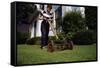 Boy Mowing Lawn-William P. Gottlieb-Framed Stretched Canvas