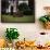 Boy Mowing Lawn-William P. Gottlieb-Framed Photographic Print displayed on a wall