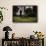 Boy Mowing Lawn-William P. Gottlieb-Framed Photographic Print displayed on a wall