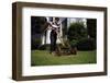 Boy Mowing Lawn-William P. Gottlieb-Framed Photographic Print