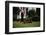 Boy Mowing Lawn-William P. Gottlieb-Framed Photographic Print