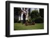 Boy Mowing Lawn-William P. Gottlieb-Framed Photographic Print