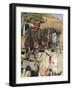 Boy on Donkey Cart, Maimana, Faryab Province, Afghanistan-Jane Sweeney-Framed Photographic Print