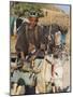 Boy on Donkey Cart, Maimana, Faryab Province, Afghanistan-Jane Sweeney-Mounted Photographic Print