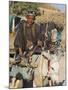 Boy on Donkey Cart, Maimana, Faryab Province, Afghanistan-Jane Sweeney-Mounted Photographic Print