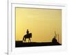 Boy on Horseback at the Beach Village of M! Ncora, in Northern Peru-Andrew Watson-Framed Photographic Print