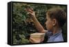 Boy Picking Raspberries-William P. Gottlieb-Framed Stretched Canvas