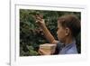 Boy Picking Raspberries-William P. Gottlieb-Framed Photographic Print