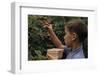 Boy Picking Raspberries-William P. Gottlieb-Framed Photographic Print