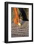 Boy placing stone on a grave in the Mount of Olives Jewish cemetery, Jerusalem-Godong-Framed Photographic Print