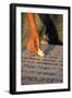 Boy placing stone on a grave in the Mount of Olives Jewish cemetery, Jerusalem-Godong-Framed Photographic Print