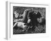 Boy Playing with His Pet Dog-Ed Clark-Framed Photographic Print