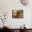 Boy Plays Piano, 1946-null-Framed Stretched Canvas displayed on a wall