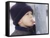 Boy Putting Tongue to Frozen Pole-Dann Tardif-Framed Stretched Canvas