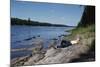 Boy Relaxing by the Delaware River-William P. Gottlieb-Mounted Photographic Print
