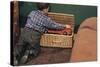 Boy Removing Fire Engine from Toy Chest-William P. Gottlieb-Stretched Canvas