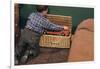 Boy Removing Fire Engine from Toy Chest-William P. Gottlieb-Framed Photographic Print