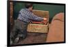 Boy Removing Fire Engine from Toy Chest-William P. Gottlieb-Framed Photographic Print