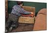 Boy Removing Fire Engine from Toy Chest-William P. Gottlieb-Mounted Photographic Print