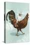 Boy Riding Giant Rooster-null-Stretched Canvas