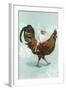 Boy Riding Giant Rooster-null-Framed Art Print