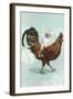 Boy Riding Giant Rooster-null-Framed Art Print