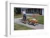 Boy Riding Tricycle and Towing Wagon-William P. Gottlieb-Framed Premium Photographic Print