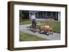 Boy Riding Tricycle and Towing Wagon-William P. Gottlieb-Framed Photographic Print