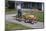 Boy Riding Tricycle and Towing Wagon-William P. Gottlieb-Mounted Photographic Print