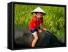 Boy Riding Water Buffalo, Mekong Delta, Vietnam-Keren Su-Framed Stretched Canvas