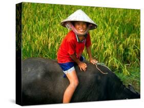Boy Riding Water Buffalo, Mekong Delta, Vietnam-Keren Su-Stretched Canvas