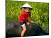 Boy Riding Water Buffalo, Mekong Delta, Vietnam-Keren Su-Mounted Premium Photographic Print