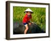 Boy Riding Water Buffalo, Mekong Delta, Vietnam-Keren Su-Framed Photographic Print