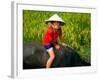 Boy Riding Water Buffalo, Mekong Delta, Vietnam-Keren Su-Framed Photographic Print