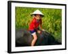 Boy Riding Water Buffalo, Mekong Delta, Vietnam-Keren Su-Framed Photographic Print