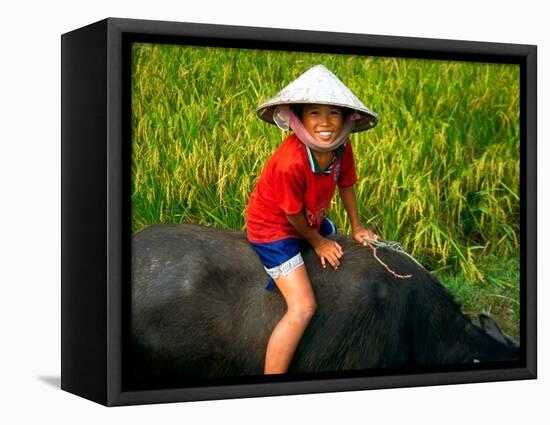 Boy Riding Water Buffalo, Mekong Delta, Vietnam-Keren Su-Framed Stretched Canvas