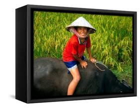 Boy Riding Water Buffalo, Mekong Delta, Vietnam-Keren Su-Framed Stretched Canvas