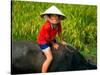 Boy Riding Water Buffalo, Mekong Delta, Vietnam-Keren Su-Stretched Canvas