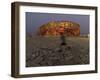 Boy Running Outside Bird's Nest, Beijing, China-null-Framed Photographic Print